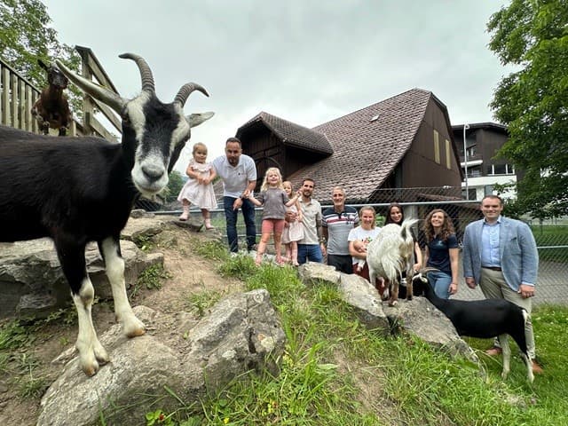 Schafe im Chlitierpark